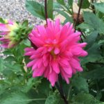 New Holistic OT Fall Classes New Holistic OT Fall Classes