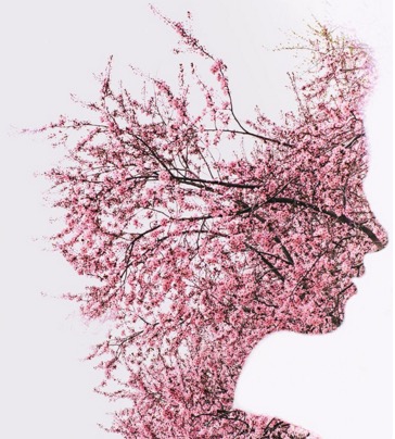 Protected: Holistic OT for Neuro Conditions (Apr 2016) Protected: Holistic OT for Neuro Conditions (Apr 2016)