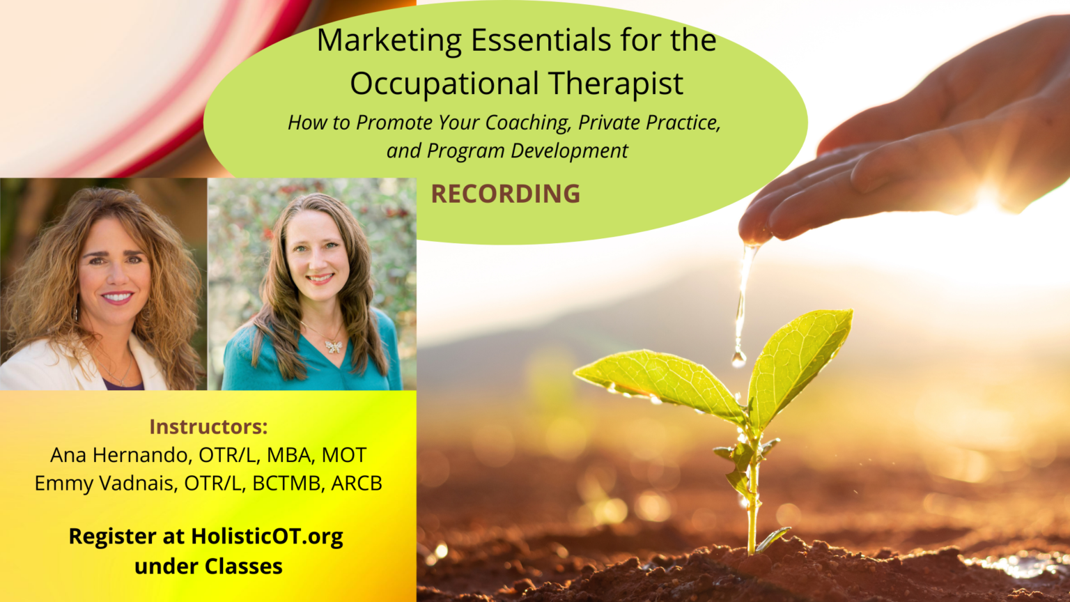 Marketing Essentials for the Occupational Therapist Holistic