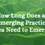 How Long Does an Emerging Practice Area Need to Emerge? How Long Does an Emerging Practice Area Need to Emerge?