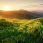 Nature Through An Occupational Lens Nature Through An Occupational Lens