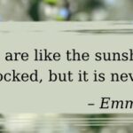 You Are Like the Sunshine You Are Like the Sunshine