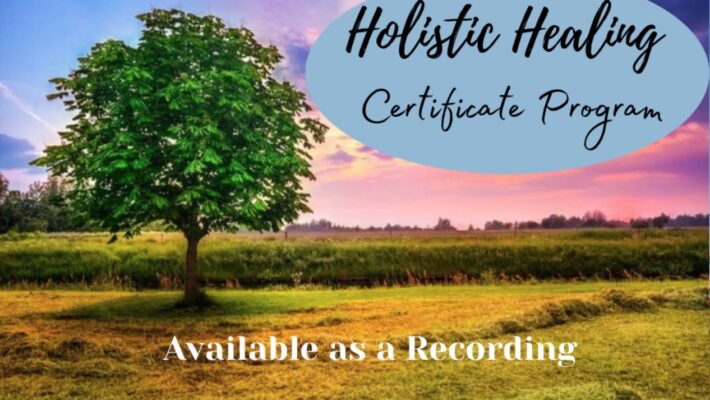 Learn Holistic OT Skills