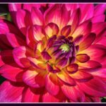 Inner Wisdom Meditation Inner Wisdom Meditation