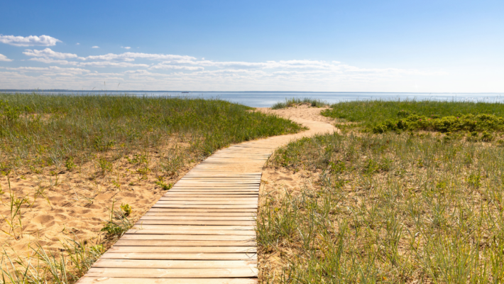 Intuition for Clinical Reasoning and Self-Care
